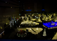 ショー当日、警固公園ではイルミネーション点灯式でした